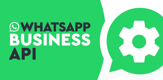 WhatsApp Business API Utilization